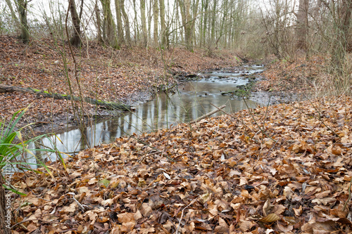 Wasser Fluss Bach im Wald mit braunem Laub und Ästen im Herbst