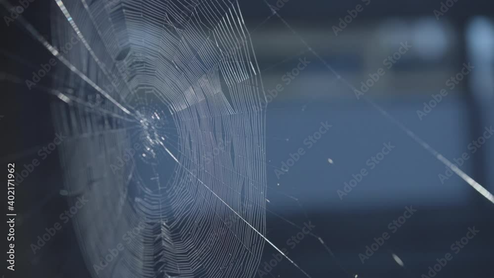 Perfect spider cobweb blowing in the breeze outside home