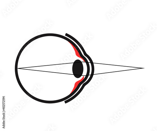 Human eye on a white background. The structure of the eyeball. Vector illustration.