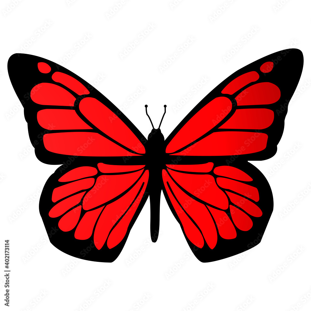 red butterfly isolated on white background Stock Vector Adobe Stock