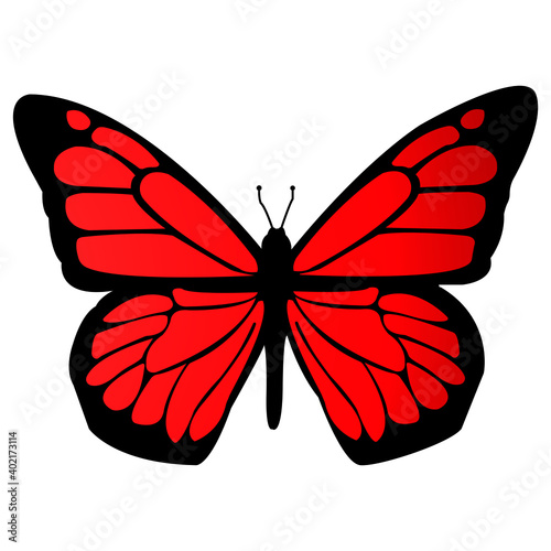 red butterfly isolated on white background
