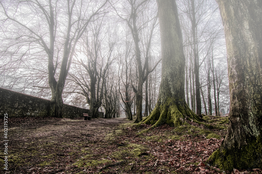 Obraz premium Düster