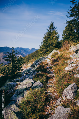Fototapeta Naklejka Na Ścianę i Meble -  A rocky mountain with trees in the background