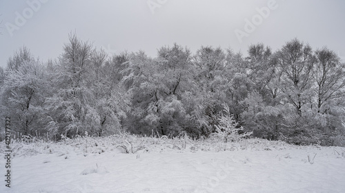 Fotografie Rural winter snow scene on Wetley Moor, Staffordshire, UK.