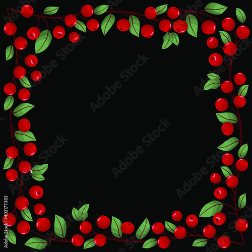 Vector background with cranberry twigs on black background; for greeting cards, invitations, posters, banners.