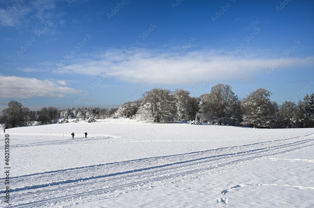 Empty cross country ski tracks on a snow covered field in the German countryside. Forest is in the background. Two skier are on another ski track in the background.