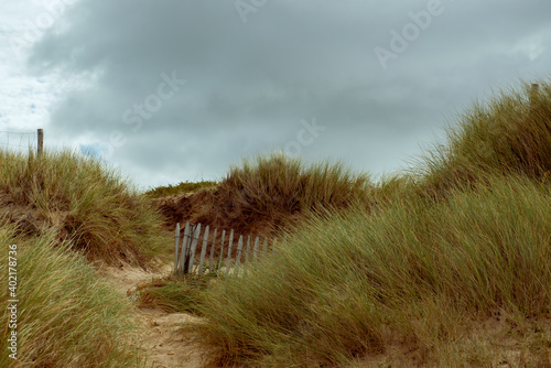 chemin de dune vintage