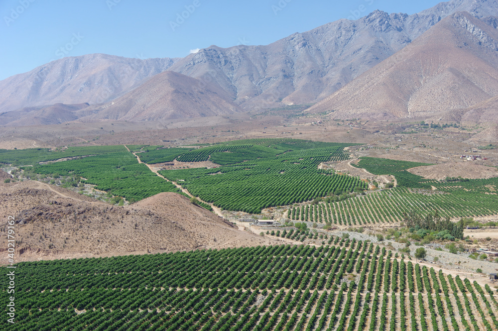 Cultures irriguées formant une oasis dans un paysage désertique à Vicuña au Chili Cultures irriguées formant une oasis dans un paysage désertique à Vicuña au Chili