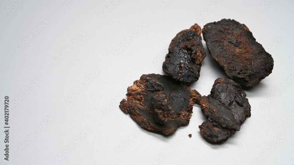 side angle pan view DiHuang or Rehmanniae Radix or Adhesive Rehmannia Root Tuber side angle pan view DiHuang or Rehmanniae Radix or Adhesive Rehmannia Root Tuber