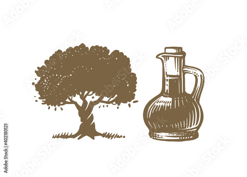 olive tree and bottle sketch