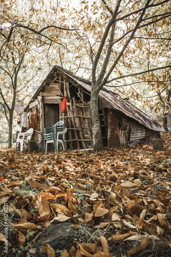 Fototapeta Naklejka Na Ścianę i Meble -  Mountainous hut, made of scraps, in the middle of the forest, during autumn.