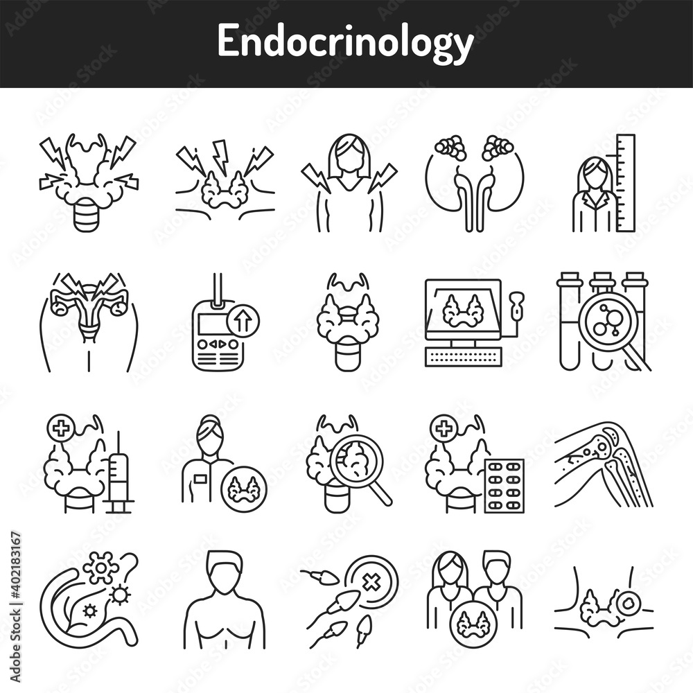 Endocrinology color line icons set. Pictograms for web page, mobile app, promo.