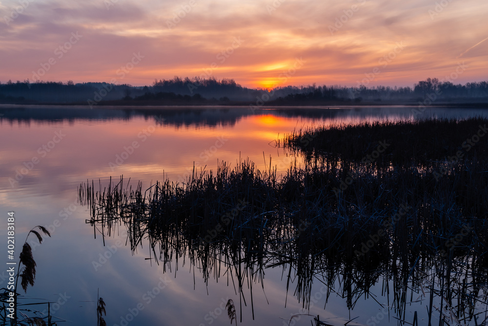 Fototapeta premium Poranek nad stawami, Dojlidy,, Podlasie, Polska