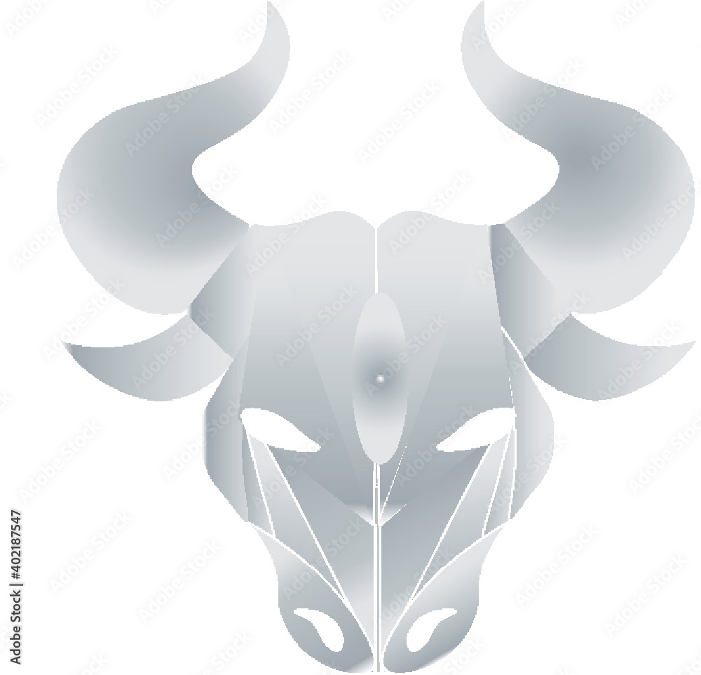 bull bull