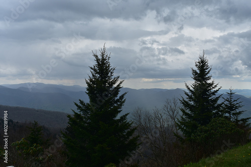 Silhoeutted Evergreen Trees in the Blue Ridge Mountains photo