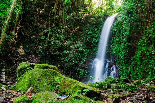 Fototapeta Naklejka Na Ścianę i Meble -  Hidden waterfall in a lush green tropical rainforest in the village of Maninjau, Sumatra, Indonesia. Natural landscape.