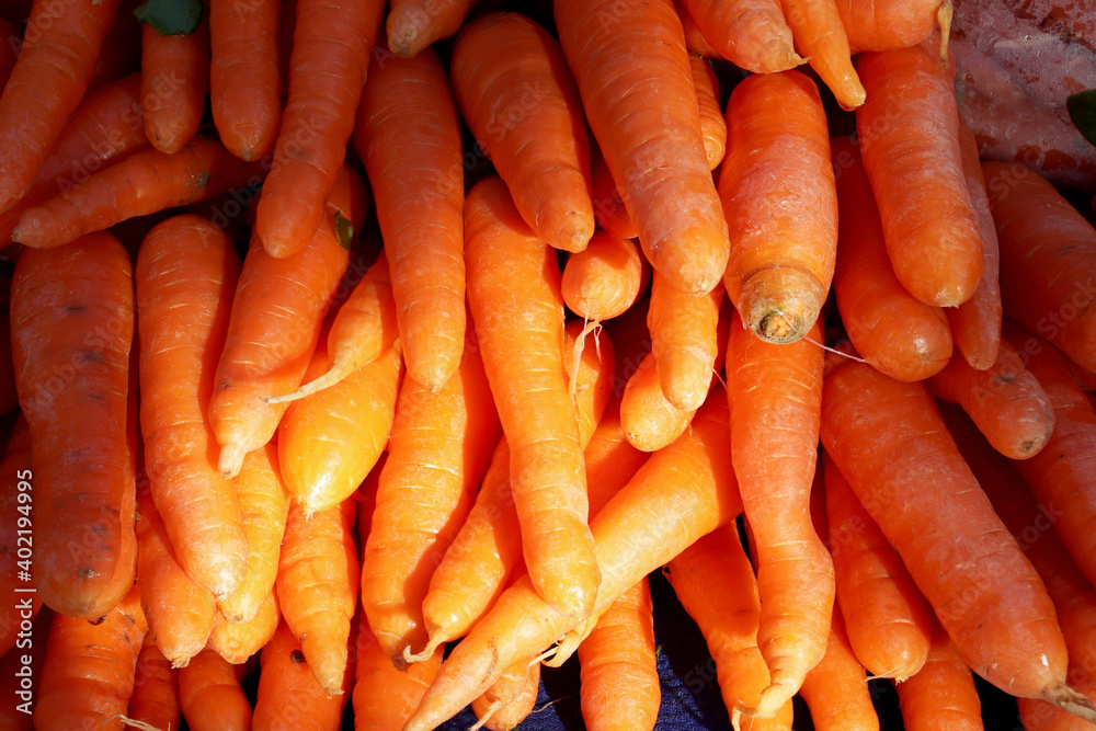 bunch of carrots on the market bunch of carrots on the market