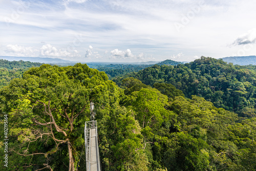 Canopy walk in Ulu Temborung national park, Brunei