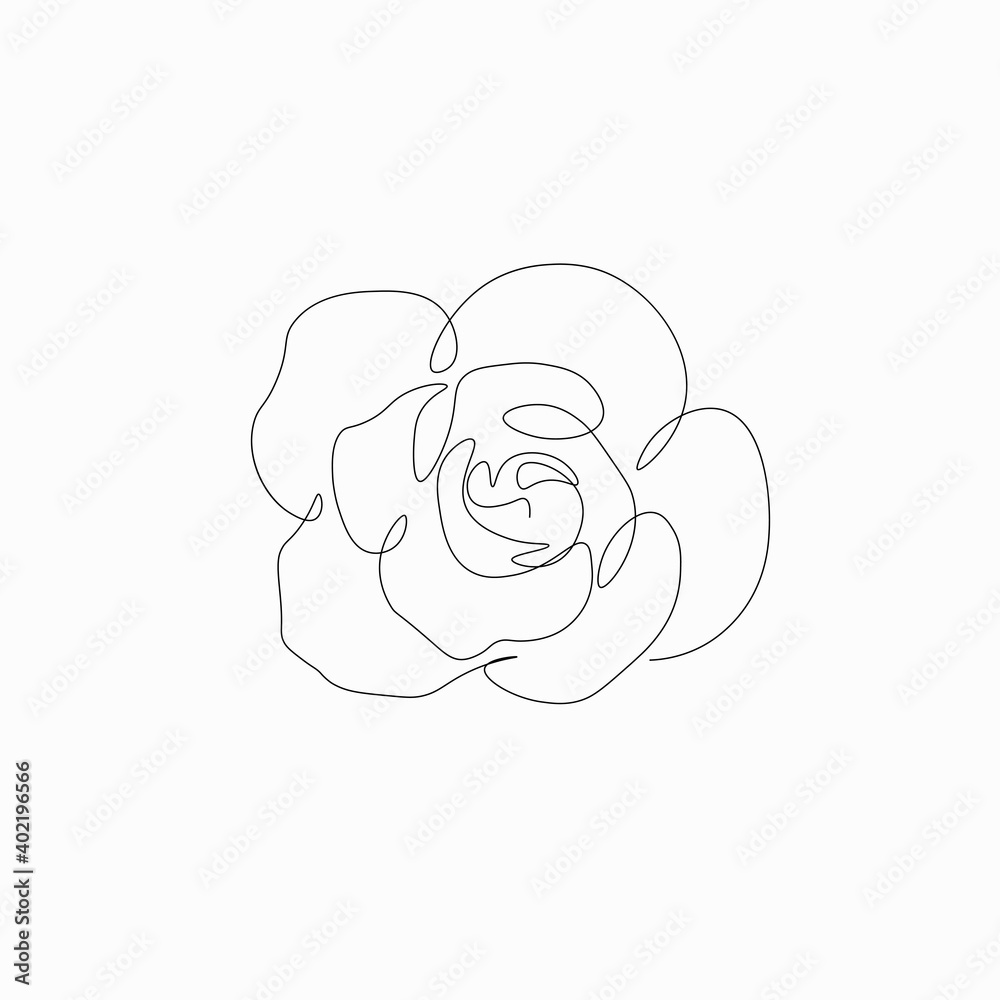 Rose vector, summer flowers isolated on white background. Continuous line drawing. Vector illustration Rose vector, summer flowers isolated on white background. Continuous line drawing. Vector illustration