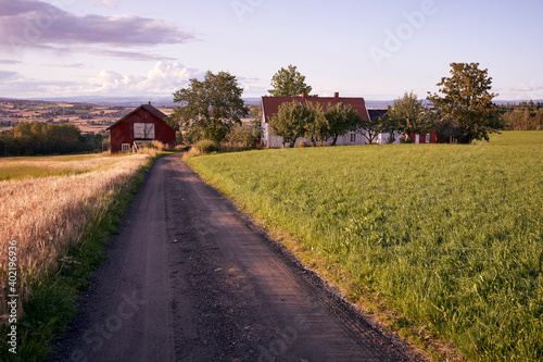 gravelroad in the countryside photo