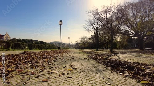 Foliage in autumn fall park in Lisbon