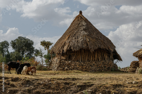 a homestead in a mountain village in the southern part of Ethiopia