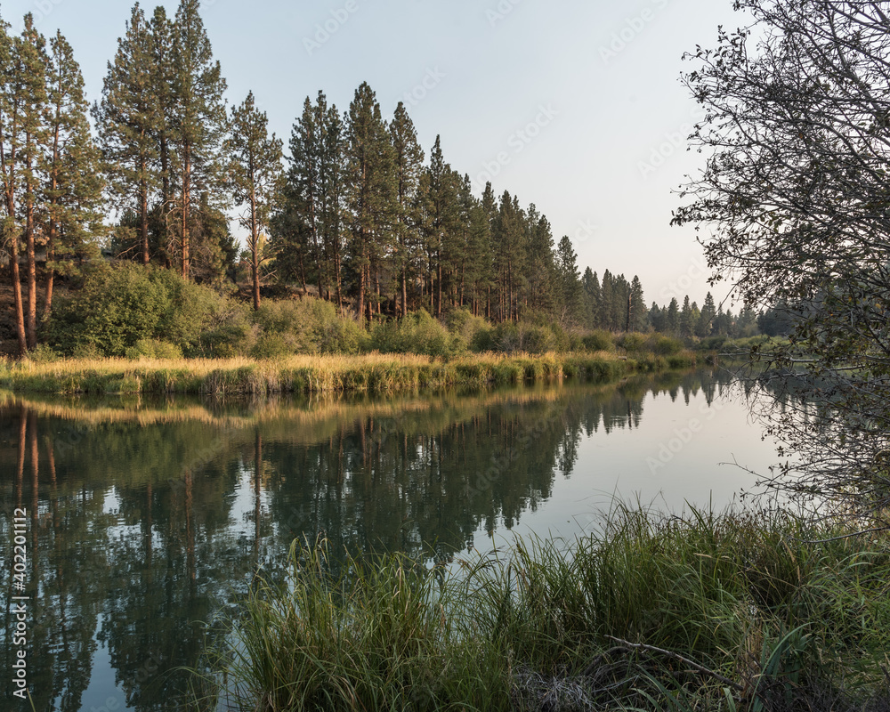 Reflection of trees along a scenic bank of the Deschutes River in Bend Oregon