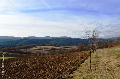 landscape of orchards and fields in autumn