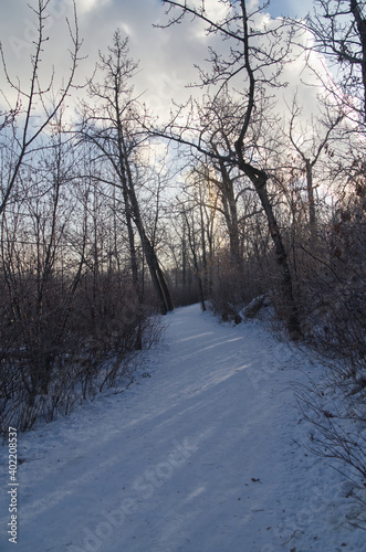 A Snowy Trail of Gold Bar Park in Winter