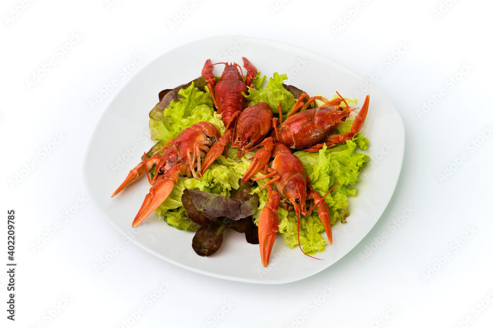 Boiled crayfish with lettuce on a white plate Boiled crayfish with lettuce on a white plate