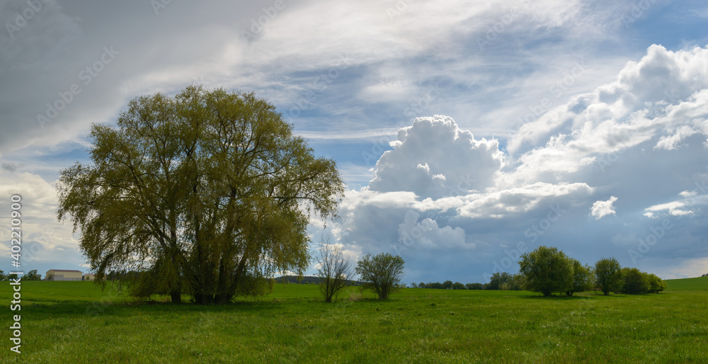 Obraz premium landscape before the storm, Pilsen region, Czechia
