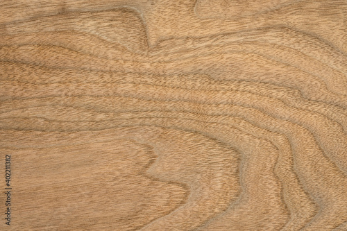 background and texture of wood veneer - walnut tree