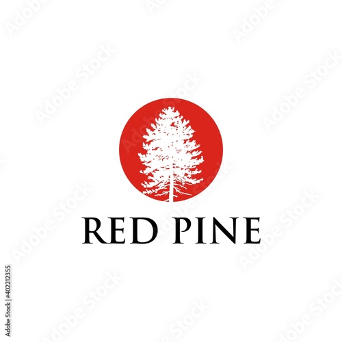 pine evergreen tree logo design