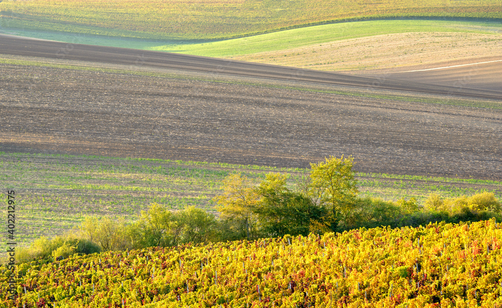 landscape of South Moravia, Czechia