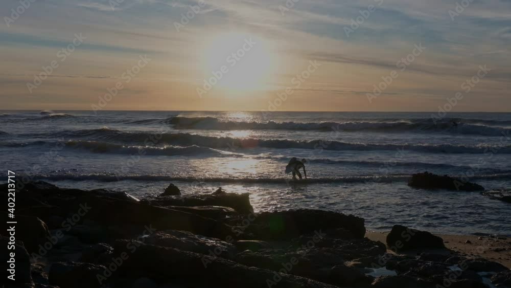 surfer comming out of water at sunset surfer comming out of water at sunset
