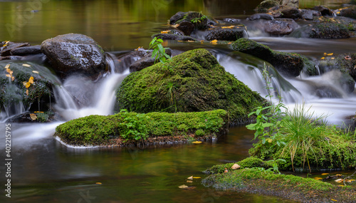 Hamersky stream, Sumava National Park, Czechia photo