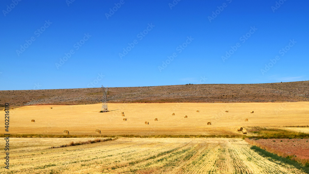 Fototapeta premium Farm fields in summer with hay bales and intense blue sky