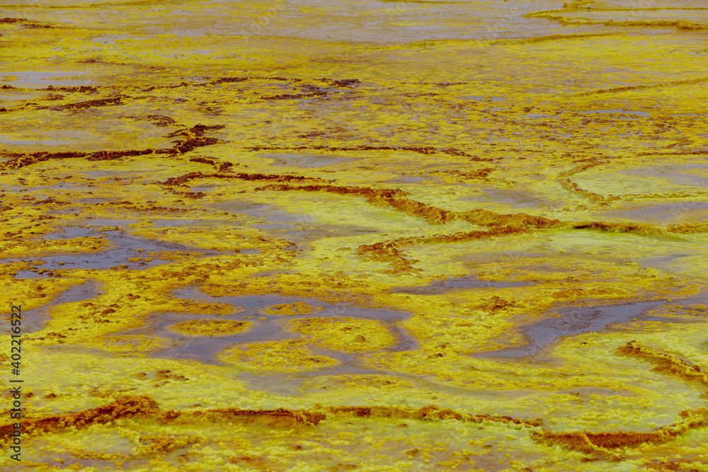 yellow and red stones in a volcanic crater that heat and boil from the heat yellow and red stones in a volcanic crater that heat and boil from the heat