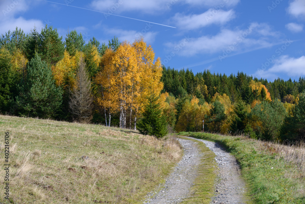 Fototapeta premium autumn in Sumava, Sumava National Park, Czechia