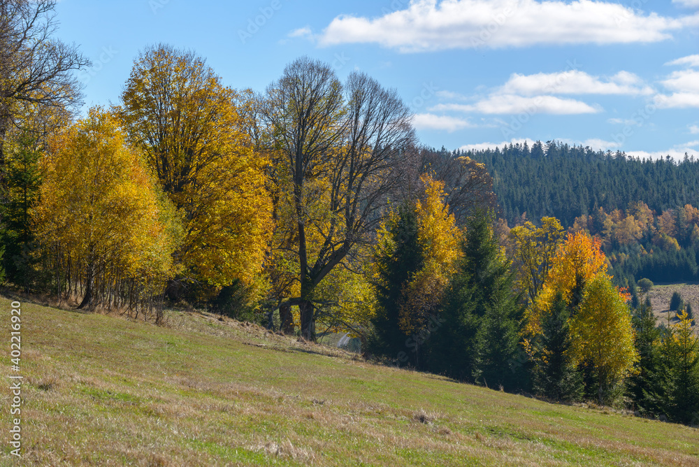 Fototapeta premium autumn in Sumava, Sumava National Park, Czechia