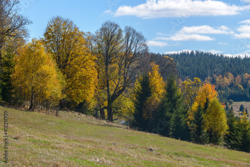 autumn in Sumava, Sumava National Park, Czechia