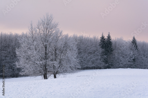 Winter wonderland © Calin