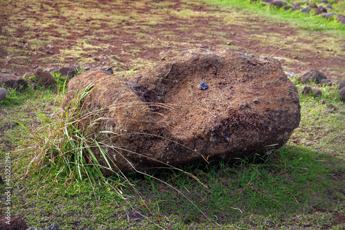 Fallen Moai head surrounded by a stone structure at the ceremonial center of Vaihu, on Easer Island. photo