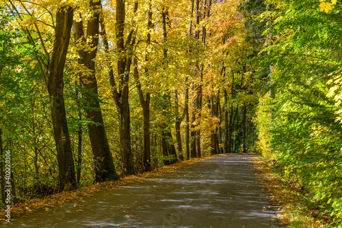 autumn in Jesniky  Jeseniky  northern Moravia  Czechia