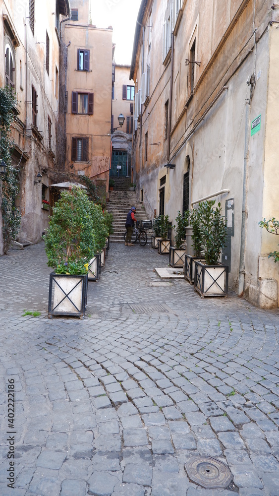 typical narrow italian street in Trastevere with green plants and stone pavement, Rome, Italy, retro toned