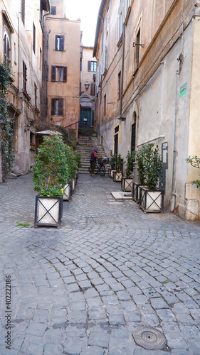 Fototapeta Naklejka Na Ścianę i Meble -  typical narrow italian street in Trastevere with green plants and stone pavement, Rome, Italy, retro toned