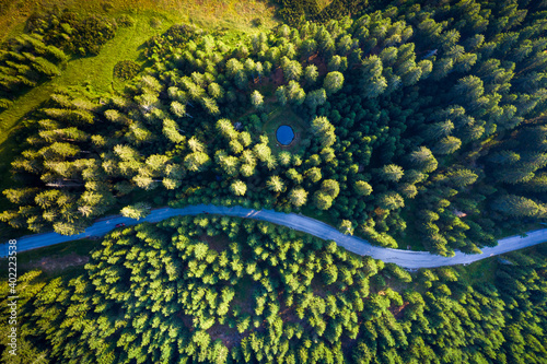 Aerial view over mountain road going through pine forest with small lake. Pokljuka, Slovenia