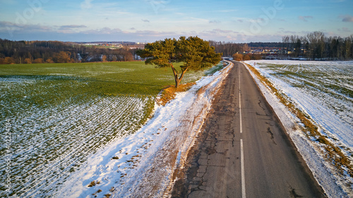 Obraz na płótnie Winter Agricultural field under snow. Countryside road Aerial view. Lone pine tree near driveway w salonie