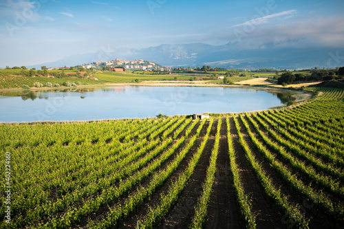 Vineyard and Carralogroño lake with Laguardia town as background, Rioja Alavesa, Spain photo