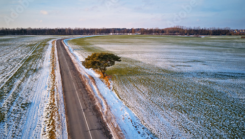 Obraz na płótnie Countryside road Aerial view. Lone pine tree near driveway. December Rural landscape w salonie